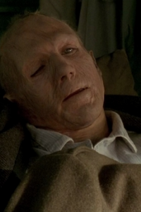 English Patient, The